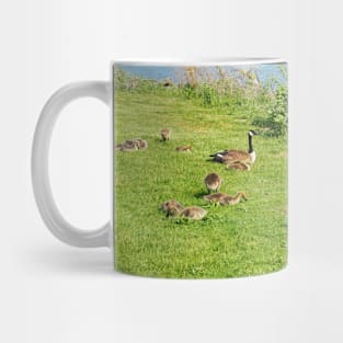 Canada Goose Family Resting On The Grass Mug